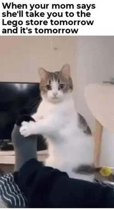 who can not relate to that ha tell me who???????