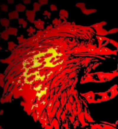 MERICA🦅🇺🇲😩