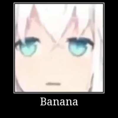 Musica Do Dark Saas Phoda.