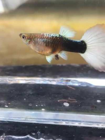 It's time to become a mother