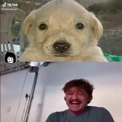 Not funny en absoluto. (Pongo el flair de memes por que no puedo publicarlo sin flair)