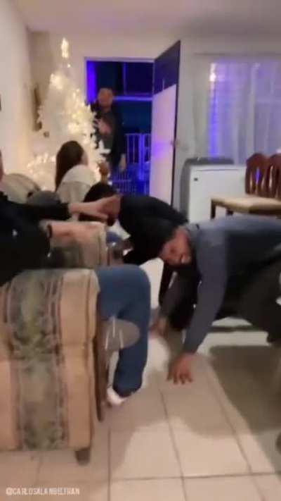 the joy in this room... I can't take it!! this dog is living its best life ☺️