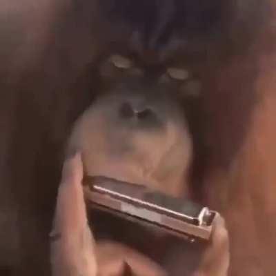 Hey, that's pretty good!