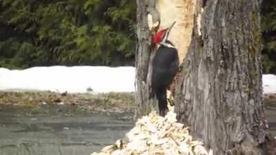 When you have your mind set on finding back that one video that perfectly satisfies your porn kink