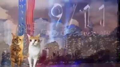 I like cats but not this much