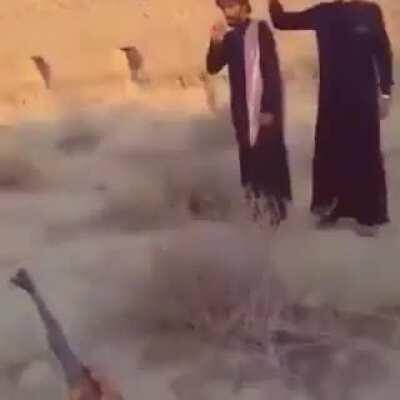 Another instance of stupid for the Darwin awards...