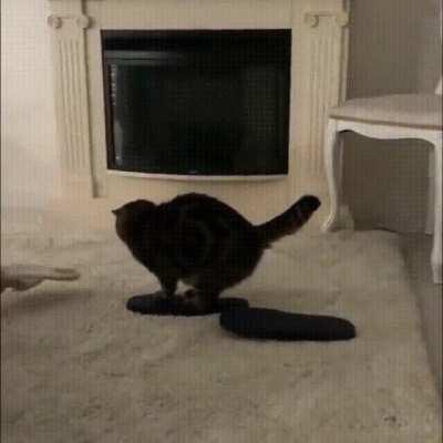 Пол это лава