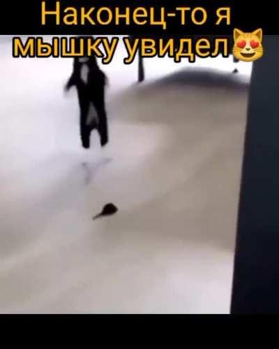 Ура, мышь ,мыышшш . Ура ,ура ,ура