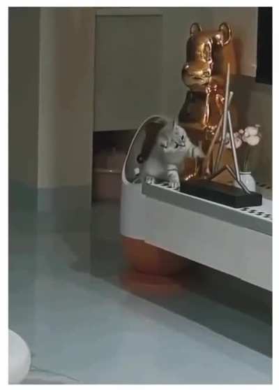 Bro doesn’t learn from his mistakes.