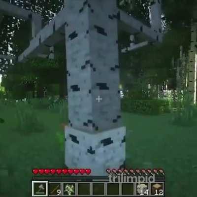 Minecraft with modding