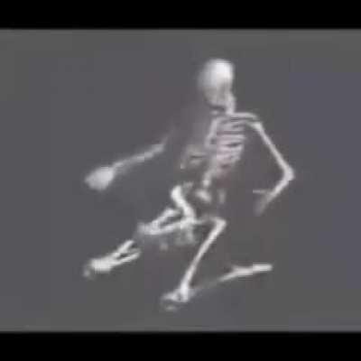 ShitpostBR - Video #7288