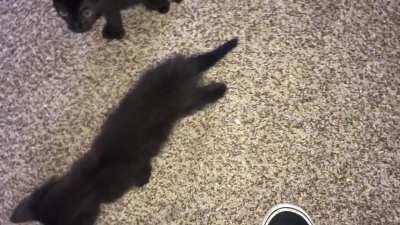 This is what I’m greeted to now when I enter “their” room.