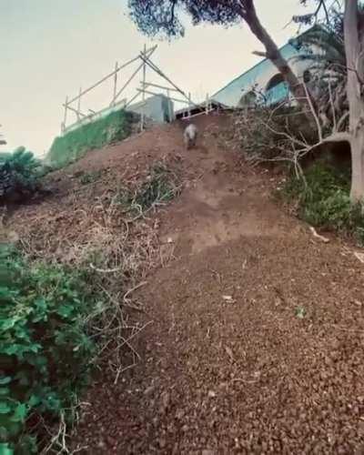 Starts well, ends with the realisation that the last bump might have damaged something