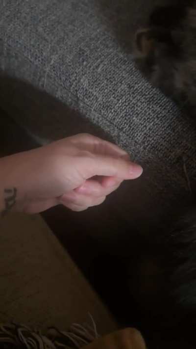 Way too quick for me :(