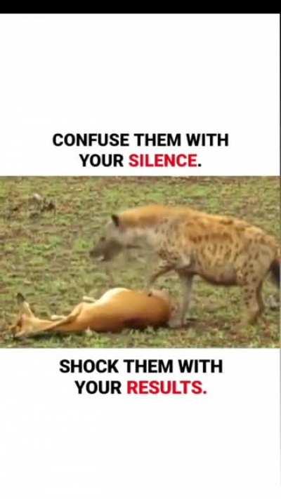 The Hunter and Prey and Notorious Food Thief