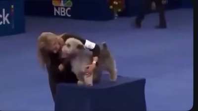 ddodidhdhgg???? wiljjj!!! fahajaiahy qulllk...... dodidhyyva;;adghg...... thhalsllk uuo, rank oou. d!!!!