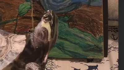 Blueb erry (OC pls dont steal)