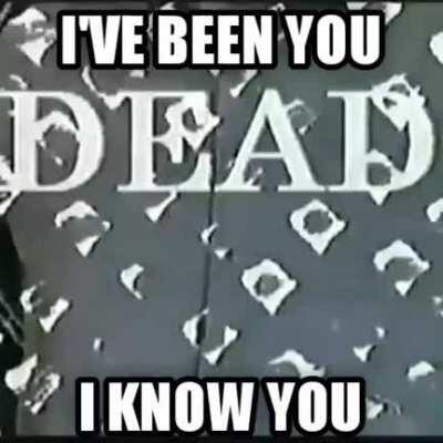 stauber of everything