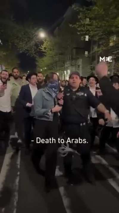 Terro*ist Mob of Coward Zionists trying to intimidate a lone woman