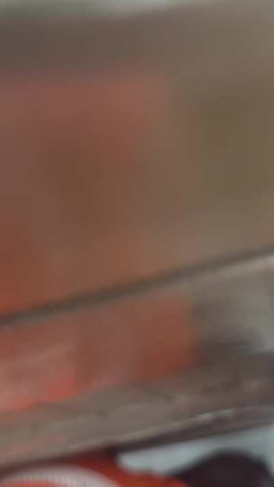 My hung uncut cock at a gloryhole