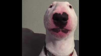 Right behind you (OC)