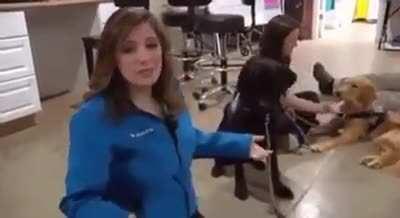 to get an high five.