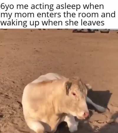 Hid the ds under my bed