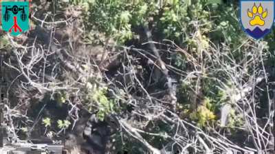 Ukrainian 15th Separate Mountain Assault Battalion records a Russian Soldier Committing Suicide with a Knife, Zaporizhzhia Directon (NSFW)