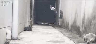 Synchronizing startle