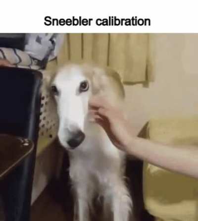 Pnghe myheis braytldhfn te sneeblaiassh