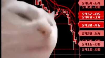 Watching my portfolio this week