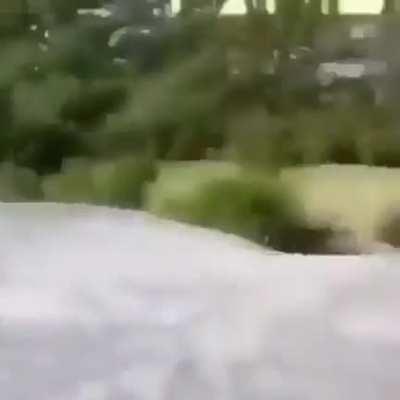 Riding on a slippery mountain and still survived