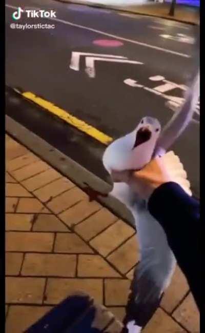 Making my way downtown