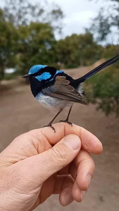 Feel like a Disney princess.. oh wait...