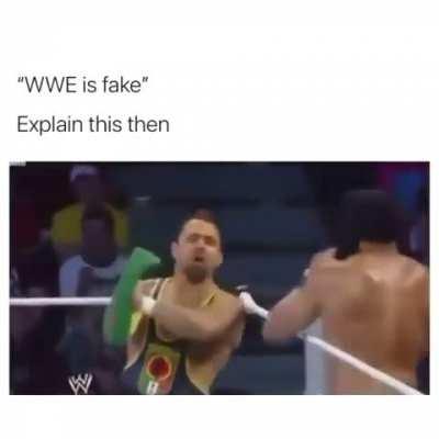 WWE is not fake.