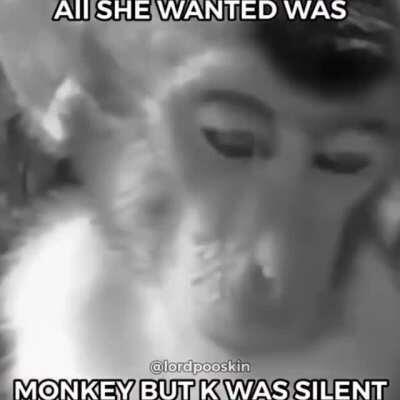 Ahhhhhh she ONLY want Monet sad monky