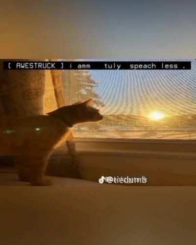 This is too good to not repost!!