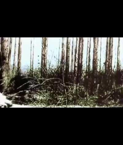 Too much Panzerschokolade