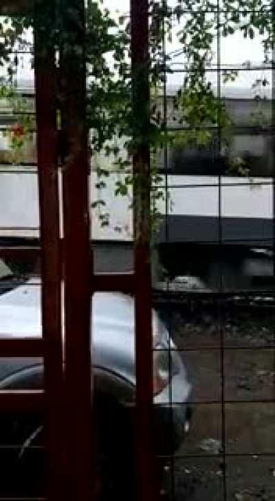 Diay... se lo llevó