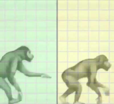 Return to monke unity? (First time editing, sorry for bad quality)