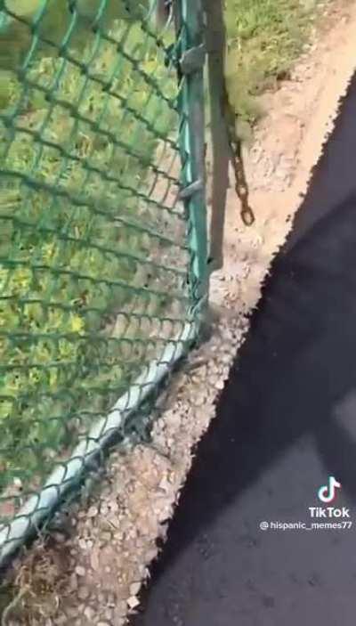 To build a functioning gate