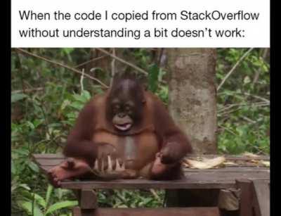 Why isn't it working?