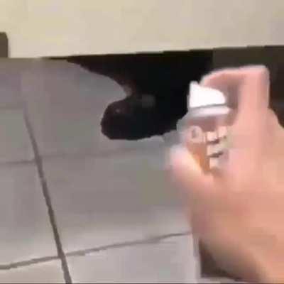 Blursed_wait how is this blursed?