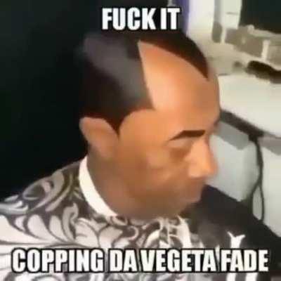 Y'all rocking with da vegeta cut ?????