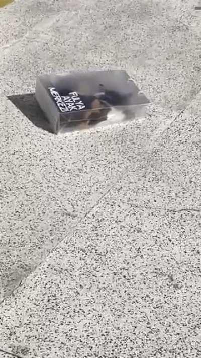 Was taking a walk and bumped into this 😅