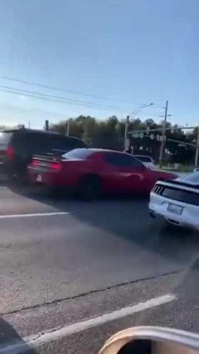 Nothing to see here....just another blithering idiot with a mustang