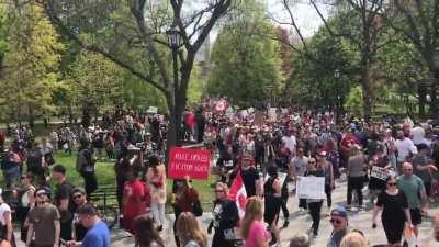 Toronto Freedom Rally - May 14, 2021