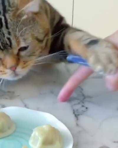 when you love dumplings very much