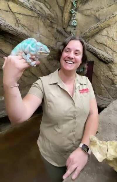 Looking right at the you