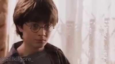 The 2020 Election- Harry Potter Edition